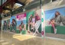 Deichmann to officially open on June 11