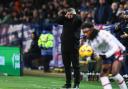 Steven Schumacher looks on from the touchline