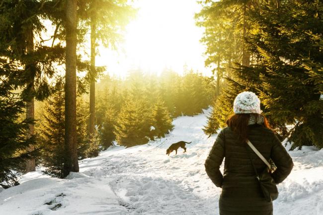 PICTURE THIS: Analysis of Instagram hashtag data reveals the most beautiful dog-walking trails in the UK. Picture:  Unsplash