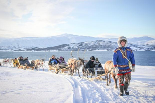 The Bolton News: Reindeer Sledding Experience and Sami Culture Tour from Tromso - Tromso, Norway. Credit: TripAdvisor