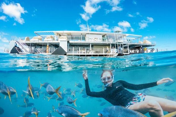 The Bolton News: Two-Day Great Barrier Reef "Reefsleep" Experience - Airlie Beach, Australia Credit: TripAdvisor