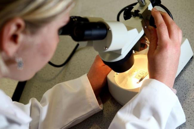Cancer: Hundreds of cases in Bolton have not been detected until their deadliest stages (Credit: RADAR)