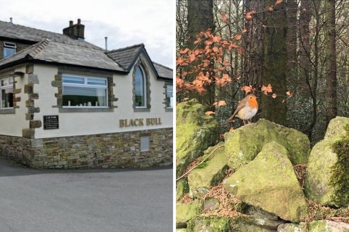 Black Bull and Entwistle,picture by Claire Eckersley-Stott