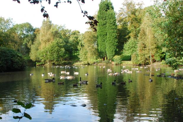 The Bolton News: Queen's Park duck pond