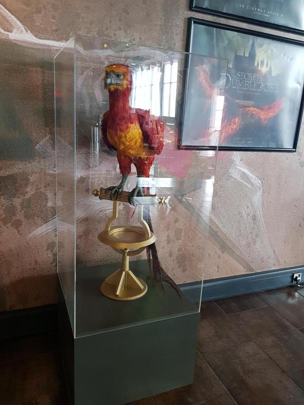 The Bolton News: Fawkes on display at The Light