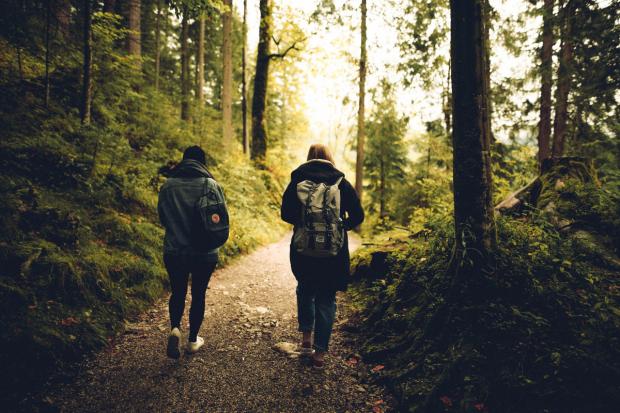 The Bolton News: Two people walking through a forest (Canva)