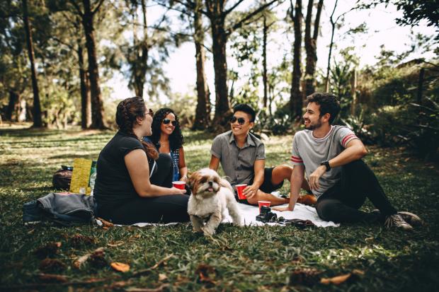 The Bolton News: A group of people and a dog enjoy a picnic in the woods. Credit: Canva