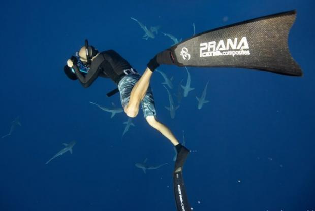 The Bolton News: Snorkel with sharks in Hawaii with One Ocean Diving. Credit: Tripadvisor