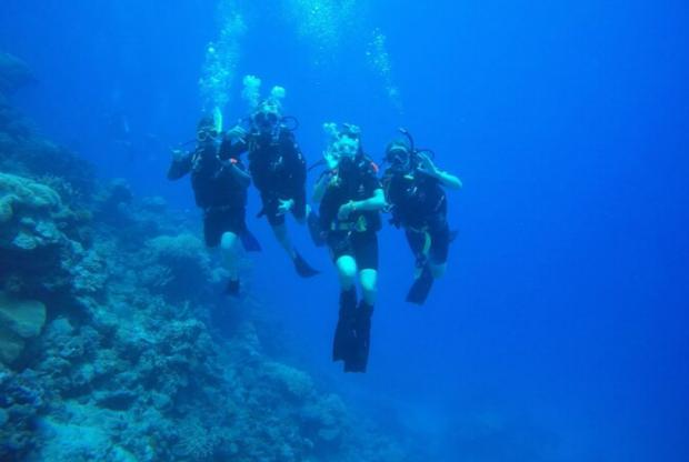 The Bolton News: 12-Day Great Barrier Reef Marine Conservation Program from Cairns. Credit: Tripadvisor