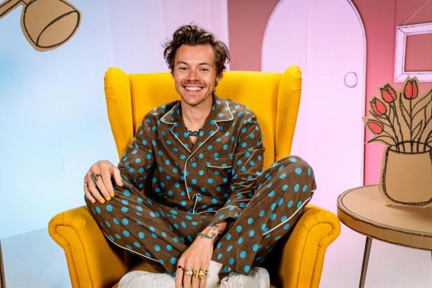 The Bolton News:  Harry Styles, 28, who will read Jess Hitchman's In Every House, On Every Street, which is illustrated by Lili la Baleine, on Monday evening. Credit: BBC/ PA