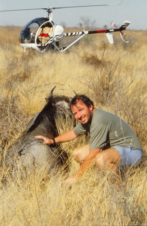 The Bolton News: "Collaring wildebeest in Central Kalahari Game Reserve"
