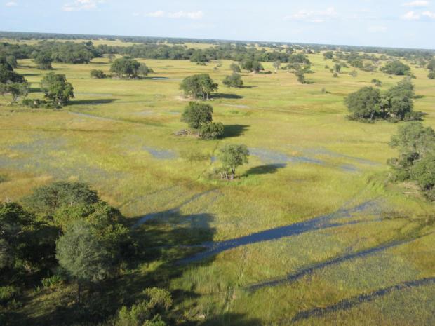 The Bolton News: "Okavango Delta - working in paradise"