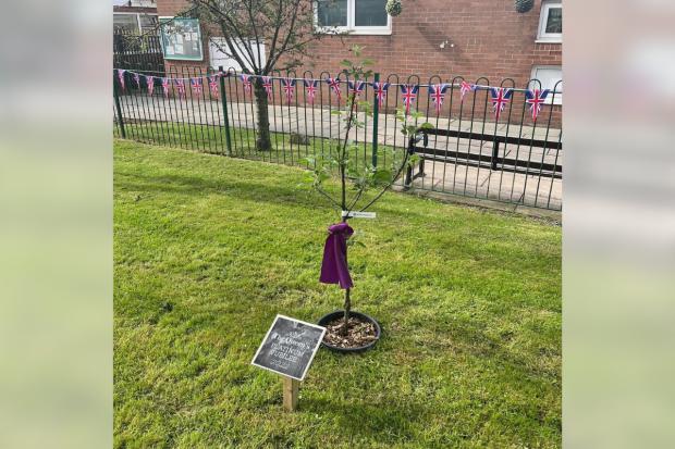 The Bolton News: The apple tree with a special plaque to look back on in years to come