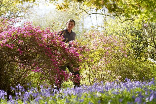 The Bolton News: National Trust properties are a great place to reconnect with nature: Picture: PA