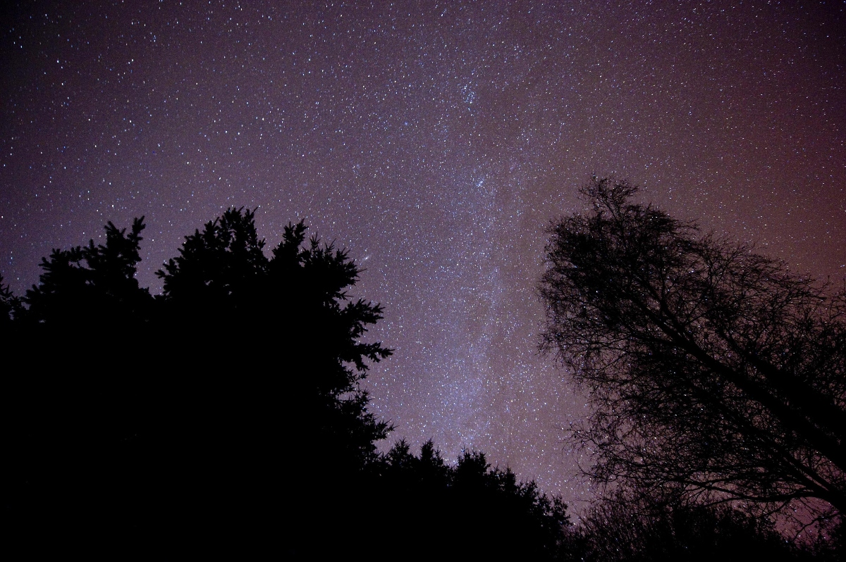 Delta Aquariid meteor shower: How to see in Bolton and top tips to spot shooting stars