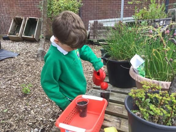The Bolton News: Alfie watering seeds at the Nurture Group The Bolton News: Alfie watering seeds at the Nurture Group