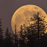 When 13 full moons, including two supermoons and a blue moon, will be shining in 2020
