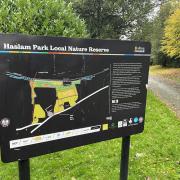 Haslam Park