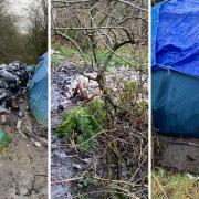 FLYTIPPING: Rats, rubbish and faeces surround the area at the gravel pits