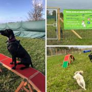 Pet Fields Bolton recently opened