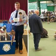 Martin Jones has achieved breed specialist rank for bulldog judging