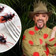 Fans accuse Boy George of ‘having it easy’ during I’m A Celebrity’s trial