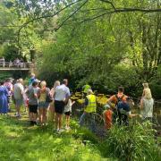 The duck race was held by The Rotary Club of Turton