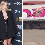 Helen Flanagan spotted a pink pigeon in Bury