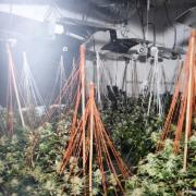 Police discovered a cannabis farm in Astley Bridge. Picture GMP Bolton North