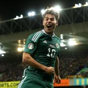 Dion Charles celebrates his goal for Northern Ireland