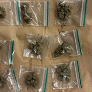 The boy was allegedly caught with bags of cannabis