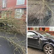 The tree fell on the man's Vauxhall Astra