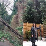 Residents are concerned after a tree fell onto a house last month