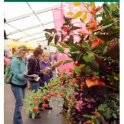 Win a pair of tickets to the Harrogate Autumn Flower Show!