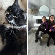 Arissa and  Alana Martin with their cats