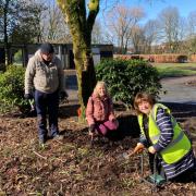 Councillors David Wilkinson, Alison Jackson and Gillian Wroe doing bulb planting in Westhoughton Central Park last week