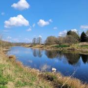 Stephen Whitehead at the tranquil  River Ribble Ribchester