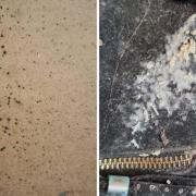 Pictures of mould at house in Little Hulton