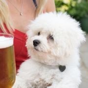 Bolton has lots of dog-friendly pubs - here are five you can visit