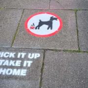 Stencils have been placed in Prestolee warning dog owners to pick up after their pooch
