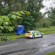 A police tent in the bushes of Parsonage Way on May 22