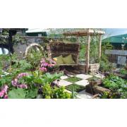 Win a pair of tickets to the Harrogate Flower Show!