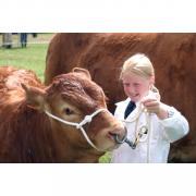 Win a pair of tickets to the Cheshire Show!