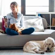 You can make £1,500 using AI from your sofa this January, says an expert