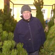 FESTIVE FINALE: John Holme at his Christmas tree stall in Bolton Market in Ashburner Street