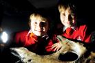 Brothers Mitchell and Max Brady with a fossilised T-Rex jaw