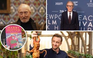 Tom Felton (Harry Potter), Adam Driver (Star Wars) and Bill Nighy (Pirates of the Caribbean) are among the actors linked to the new Harry Potter TV series.