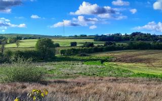Winter Hill views