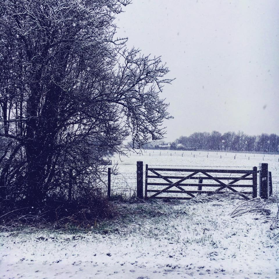 It's pretty picturesque in Westhoughton! Sent by Simon Stones