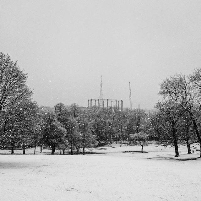 Queens Park in the snow by Shan Wilkinson